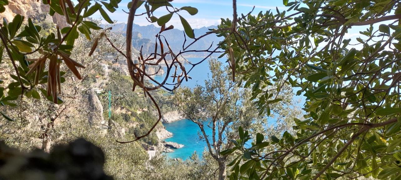 Il Fienile Βίλα Conca dei Marini Εξωτερικό φωτογραφία