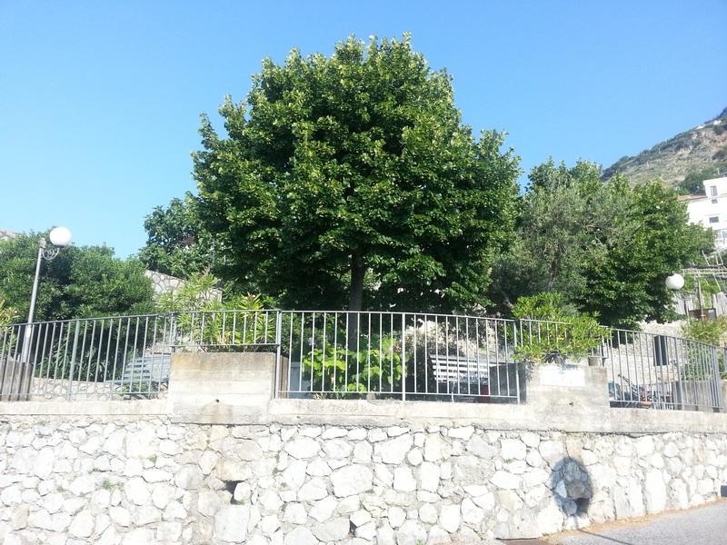 Il Fienile Βίλα Conca dei Marini Εξωτερικό φωτογραφία